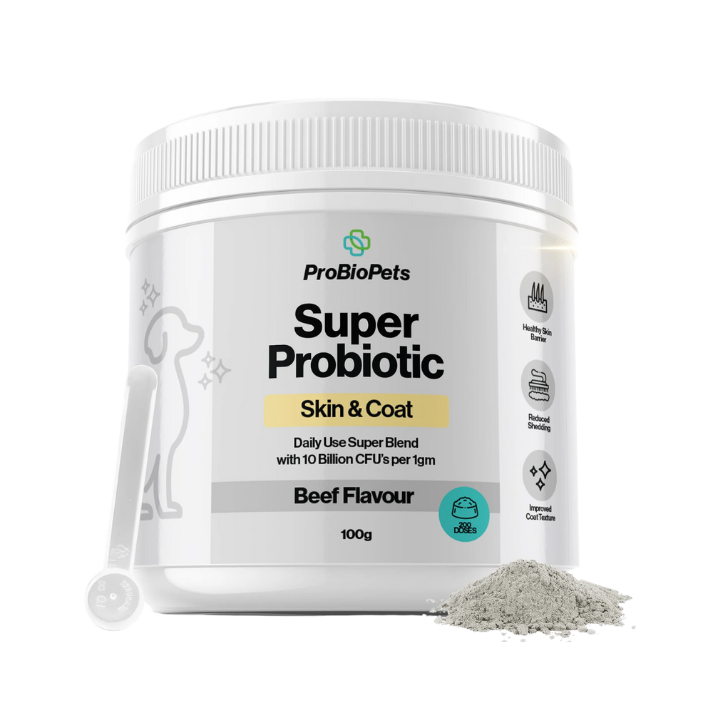Skin & Coat Probiotic Powder for Dogs & Cats