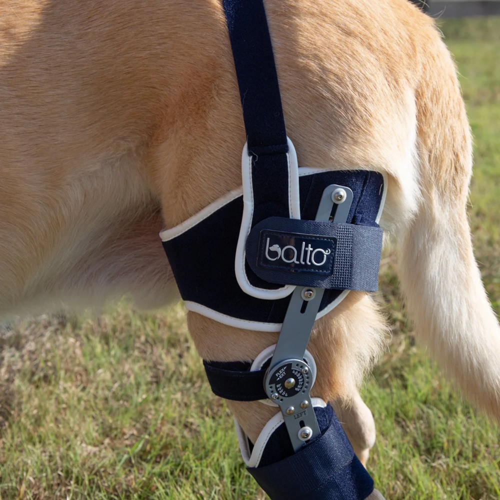 Balto® Ligatek – Adjustable Hinged Knee Brace