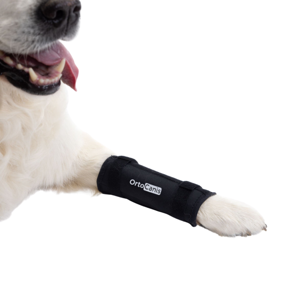 Carpal Brace for Dogs - Adjustable Immobilisation Support