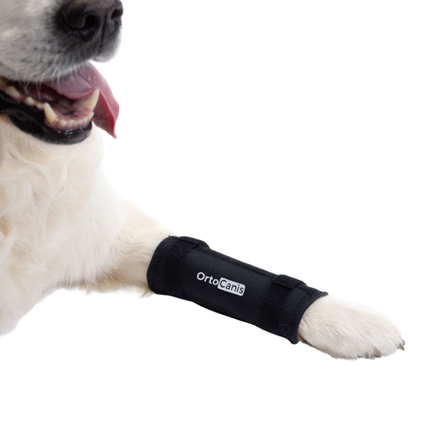 Carpal Brace for Dogs - Adjustable Immobilisation Support