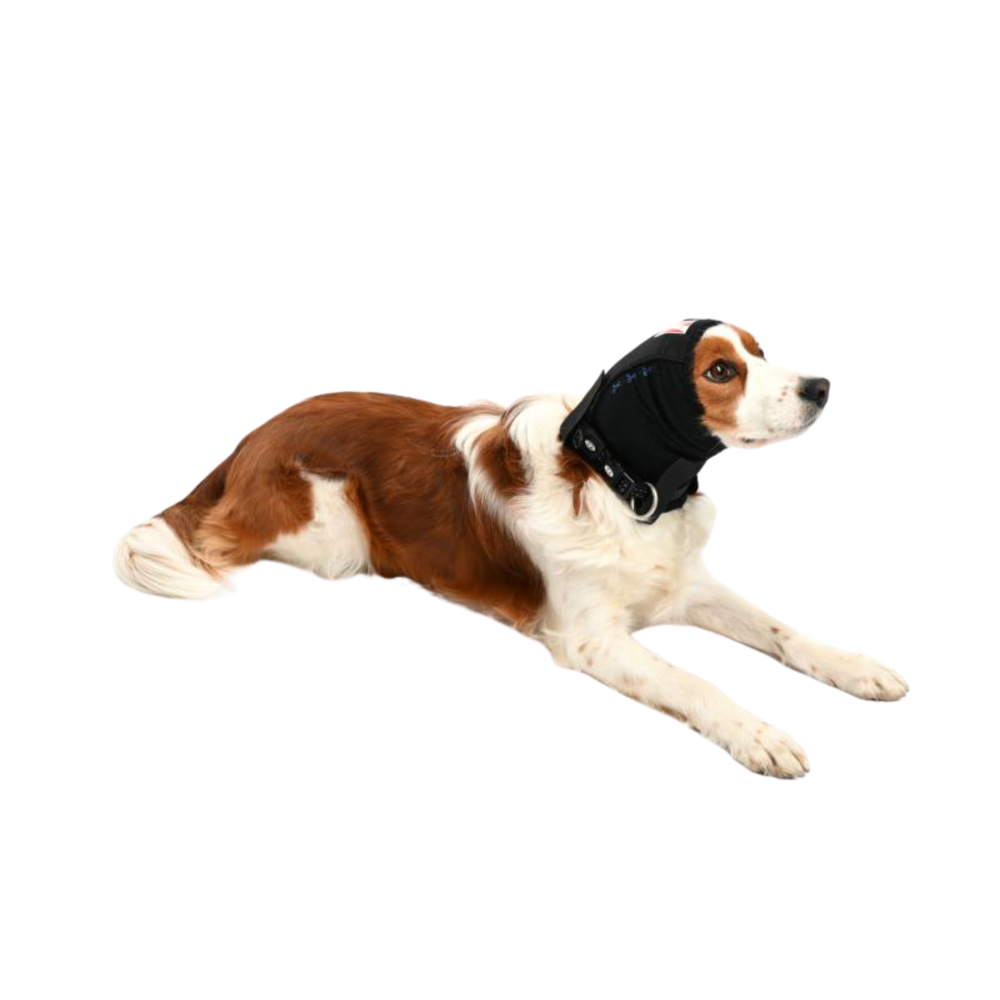 Ear Cover for Dogs & Cats - Post-Op & Wound Protection