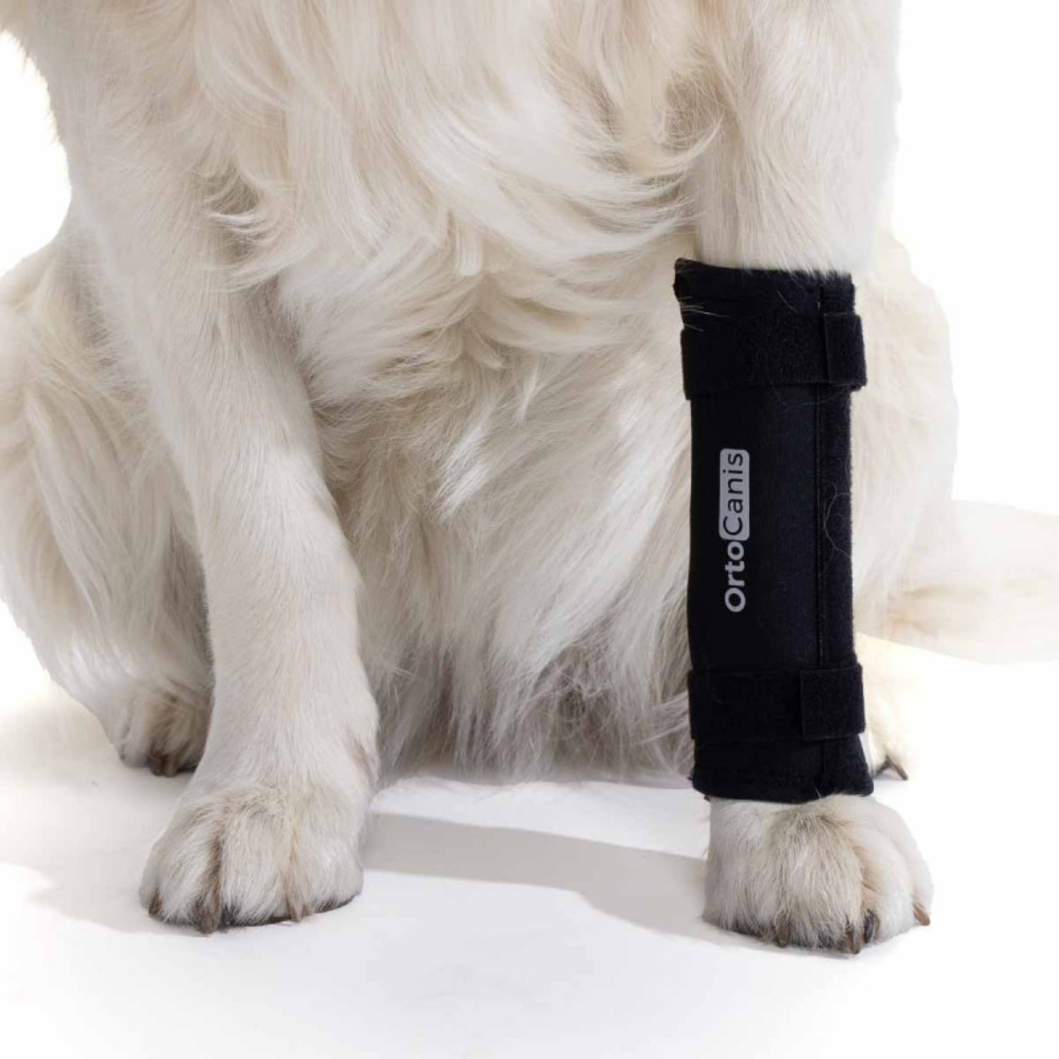 Carpal Brace for Dogs - Adjustable Immobilisation Support