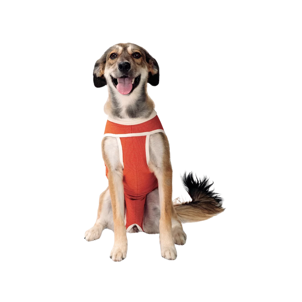 Classic Copper Body Shirt for Dogs & Cats - Post-Op Recovery