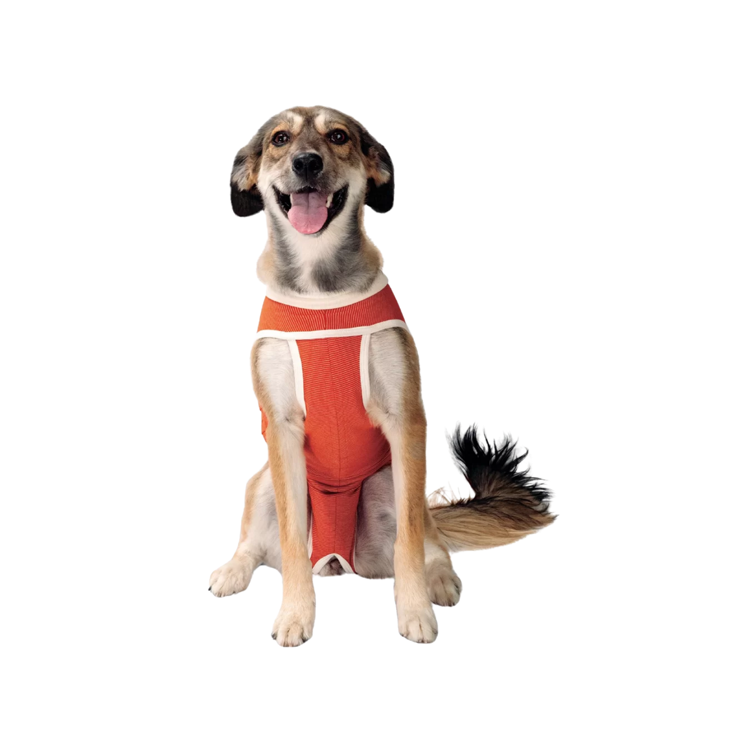 Classic Copper Body Shirt for Dogs & Cats - Post-Op Recovery