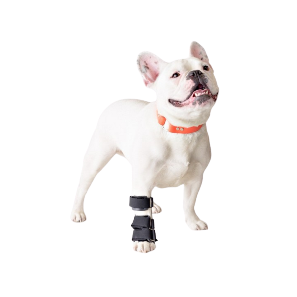 Carpal Splint for Dogs - Wrist Joint Immobilisation