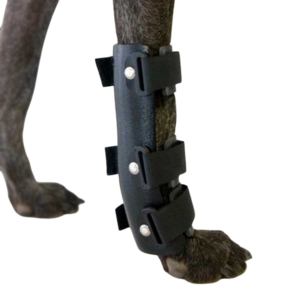 Carpal Splint for Dogs - Wrist Joint Immobilisation