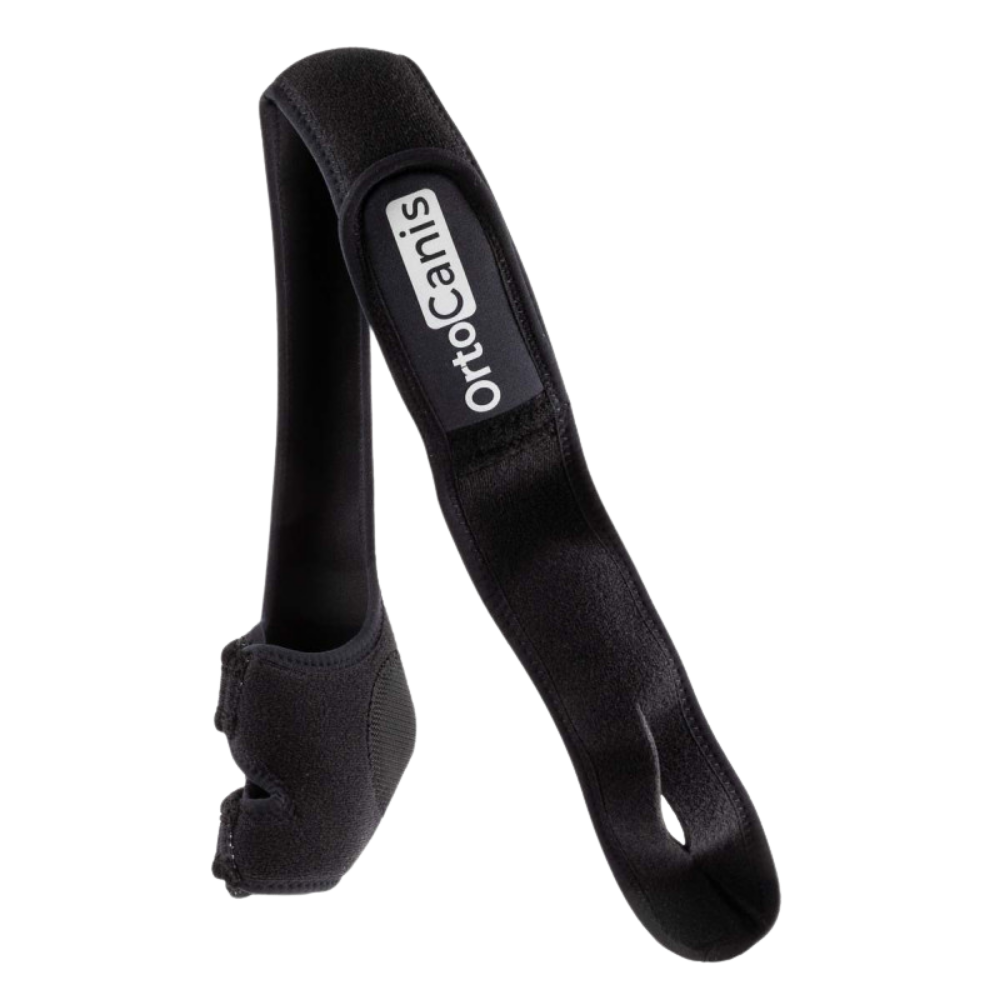Elbow Brace