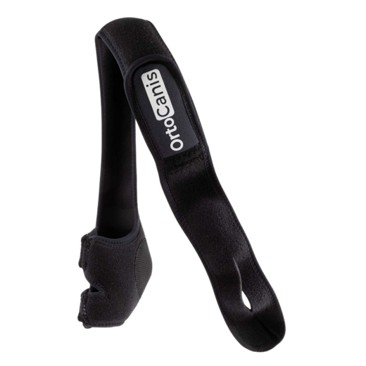Elbow Brace