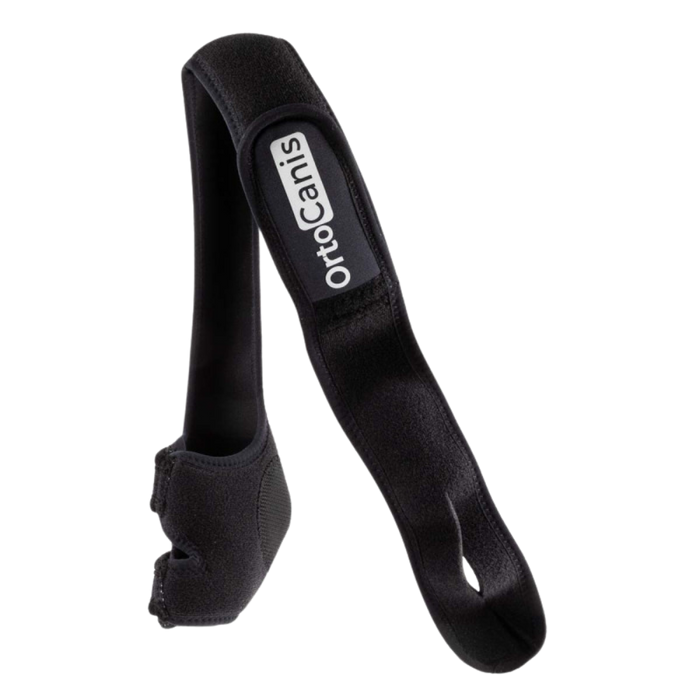 Elbow Brace