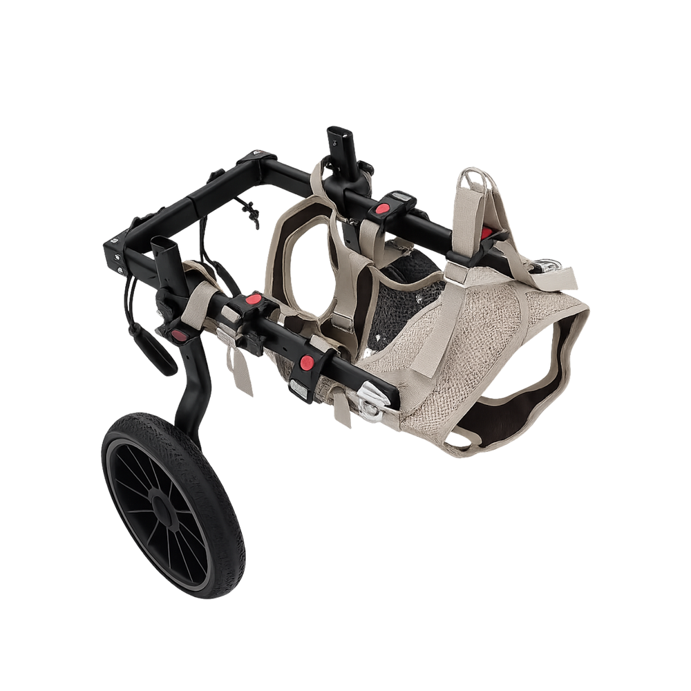FreedomRoll Adjustable Dog Wheelchair - Mobility Support