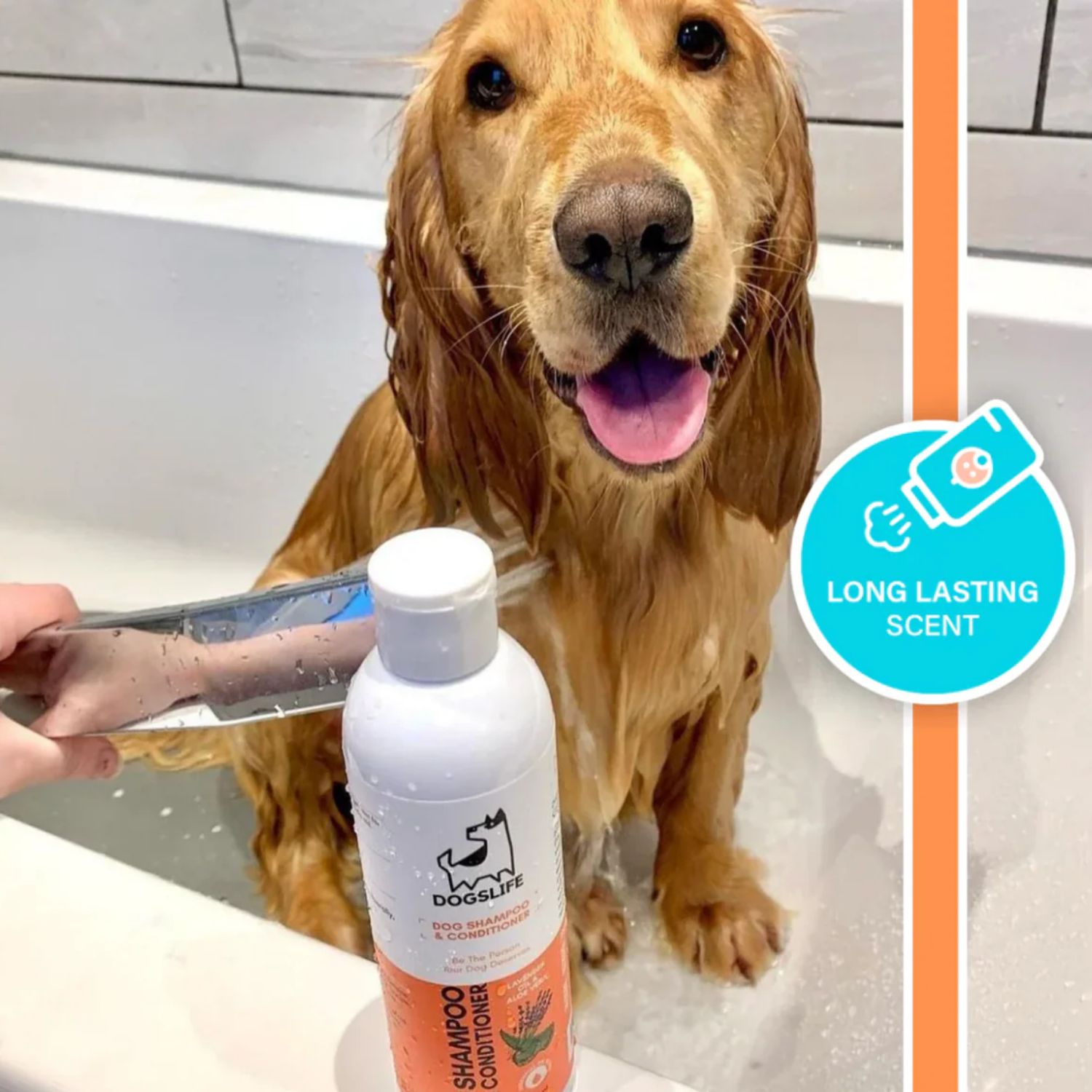 2-in-1 Dog Shampoo & Conditioner with Lavender & Jojoba product detail – Gentle Formula