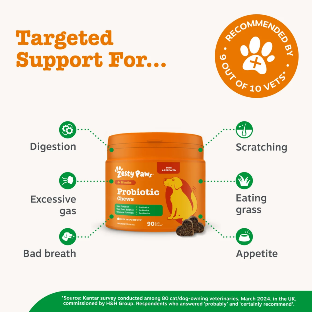 Zesty Paws Probiotic Chews - Pumpkin