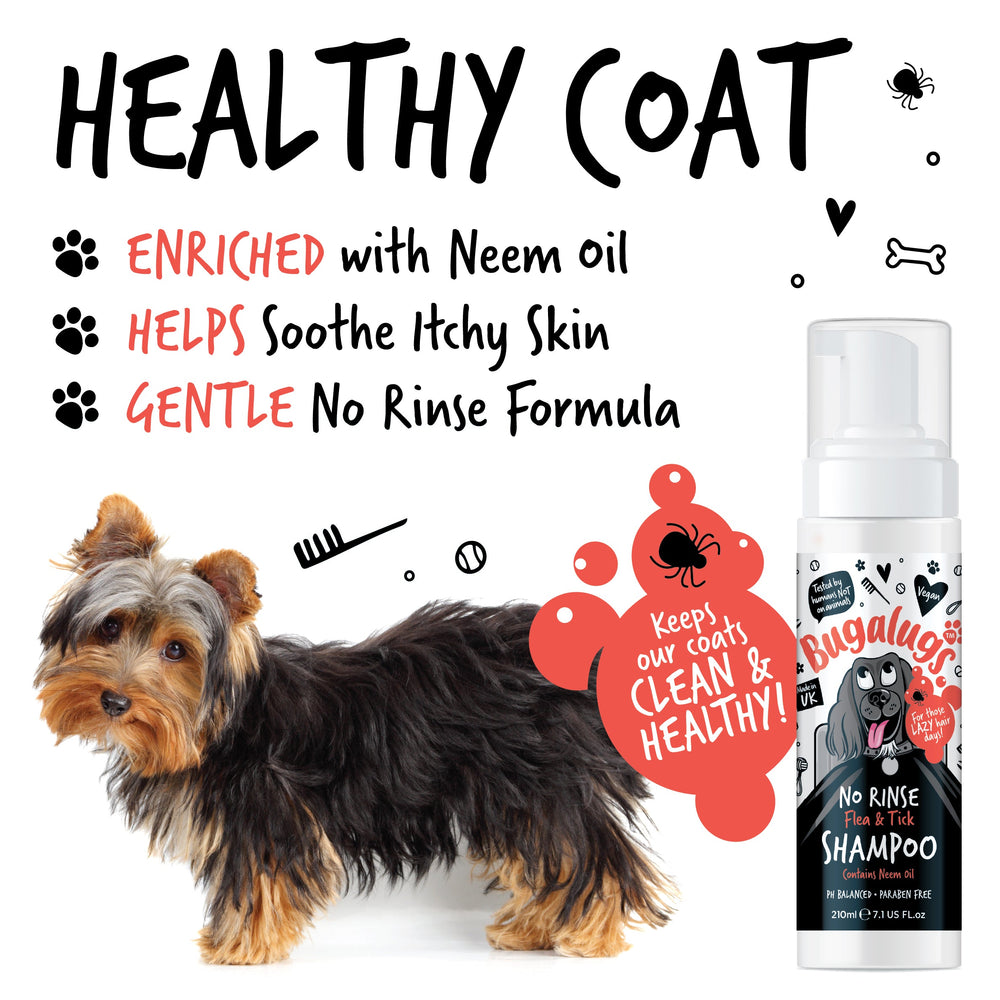 No Rinse Flea & Tick Shampoo for Dogs