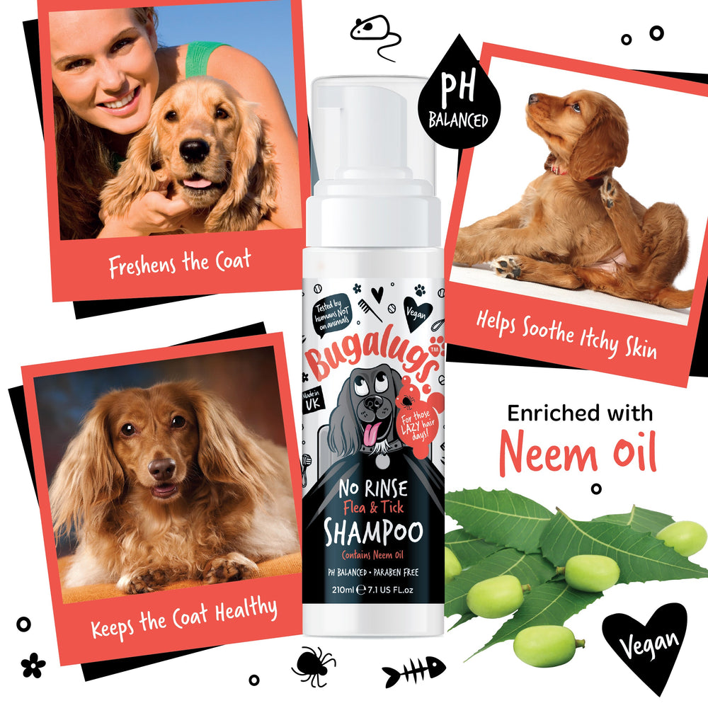 No Rinse Flea & Tick Shampoo for Dogs