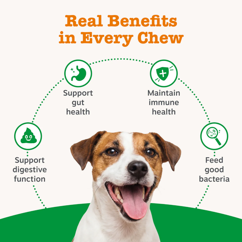 Zesty Paws Probiotic Chews - Pumpkin
