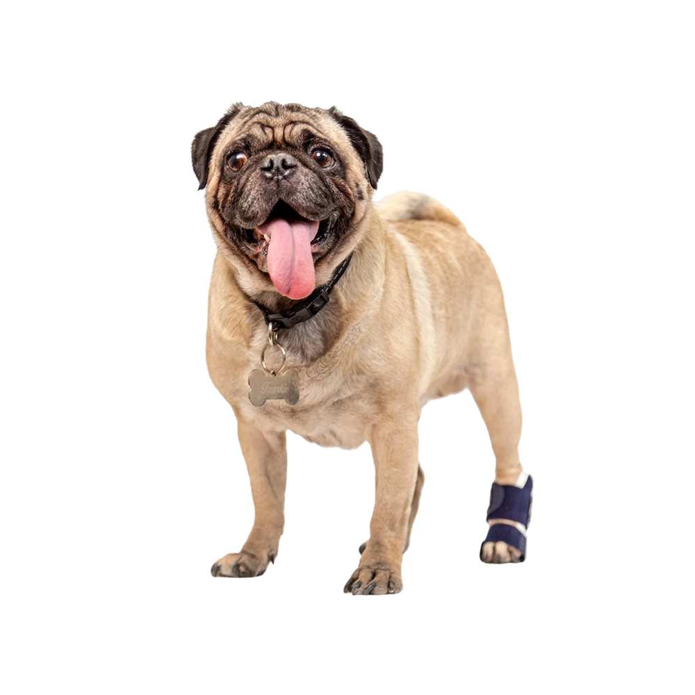 Balto® Splint – Carpal/Metatarsal Laxity Splint