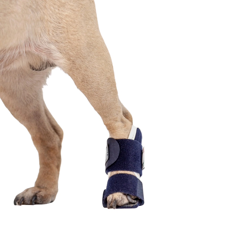 Balto® Splint – Carpal/Metatarsal Laxity Splint