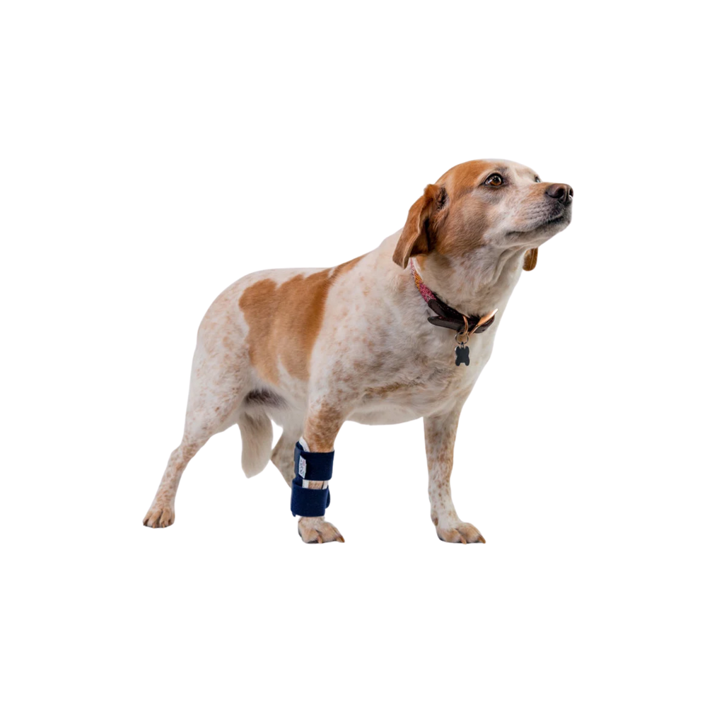 Balto® Joint – Carpal Compression Band