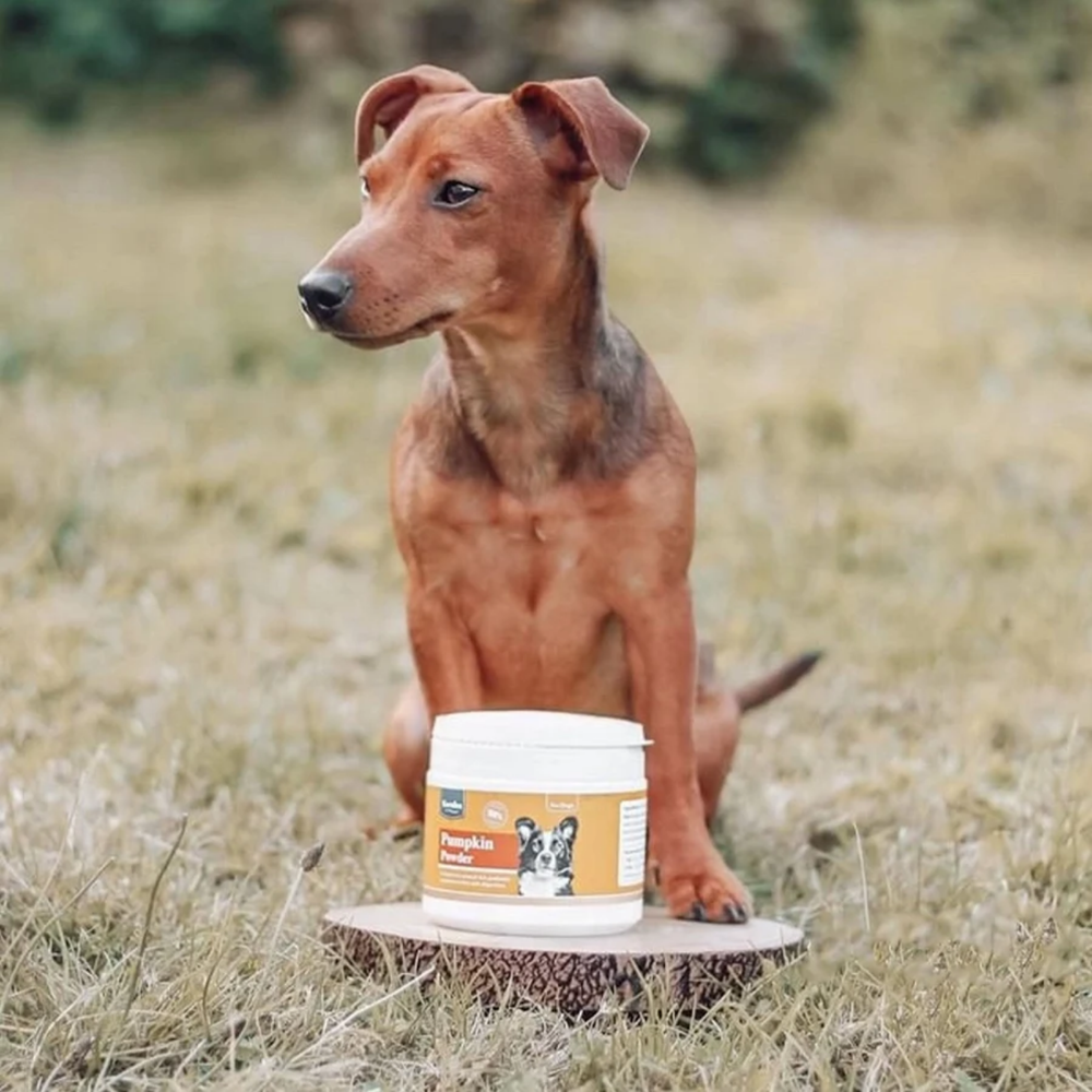 Karnlea Pumpkin Powder for Dogs 200g