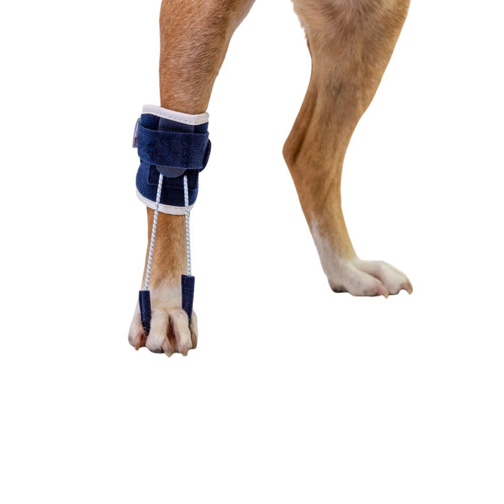Balto® Pull – Brace for Hyperflexion Phalanges