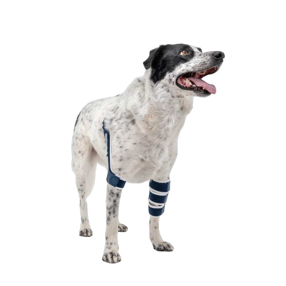 Balto® Soft – Elbow Brace