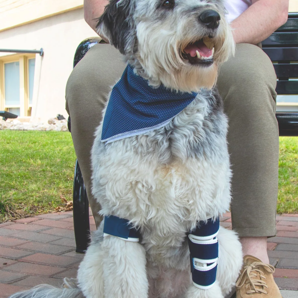 Balto® Soft – Elbow Brace