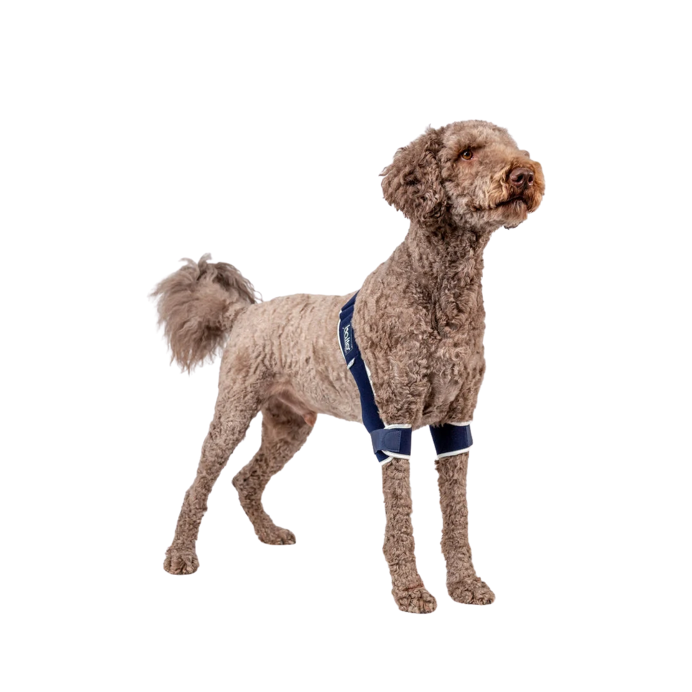 Balto® Soft Plus – Double Elbow Brace