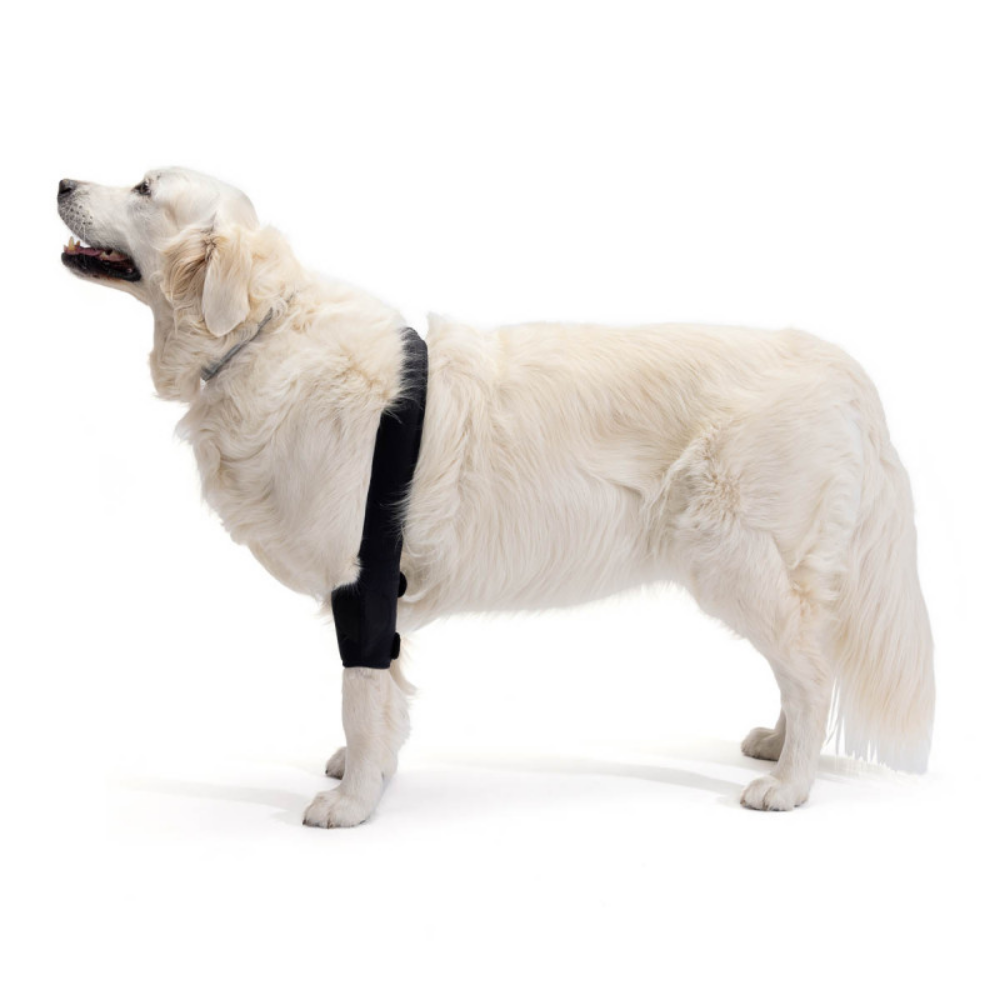 Elbow Brace