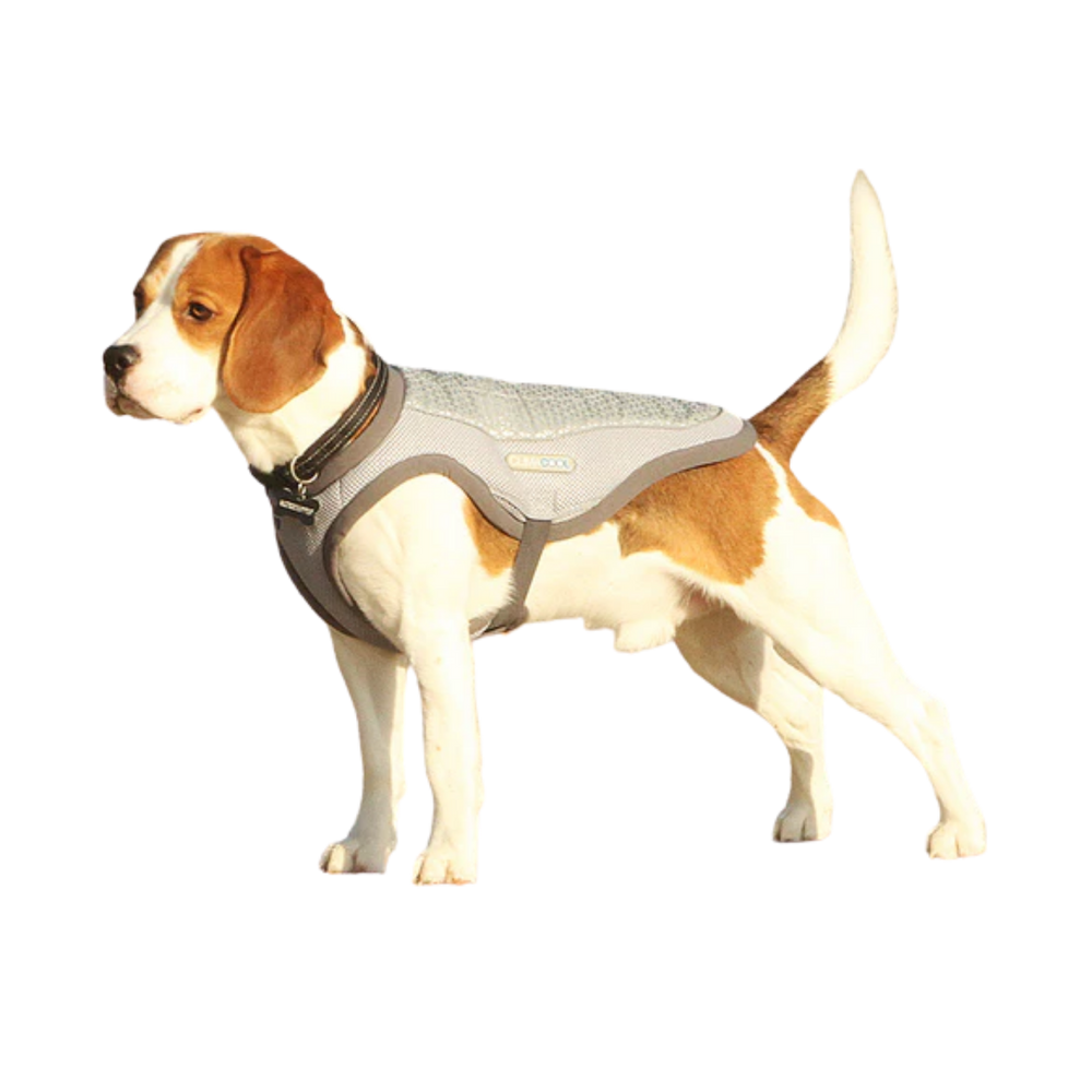 George Barclay ClimaCOOL Dog Cooling Jacket