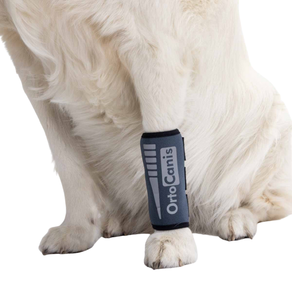 Dog Carpal Wrap for Wrist Support & Joint Protection