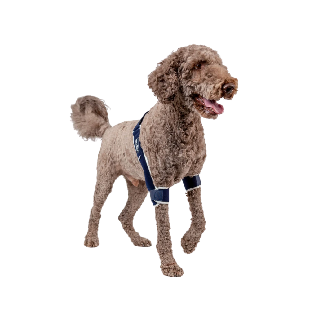 Balto® Soft Plus – Double Elbow Brace
