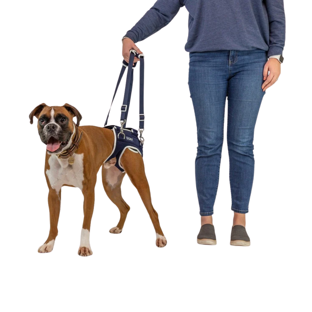 Balto® Life – Hip Dysplasia Brace