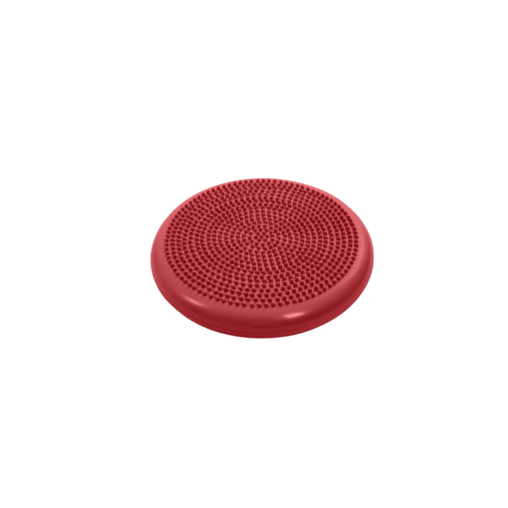 Physio Tactile Balance Discus for Dogs