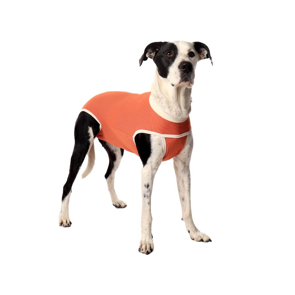 Classic Copper Body Shirt for Dogs & Cats - Post-Op Recovery