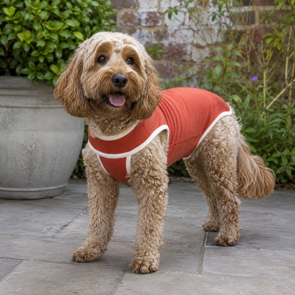 Classic Copper Body Shirt for Dogs & Cats - Post-Op Recovery