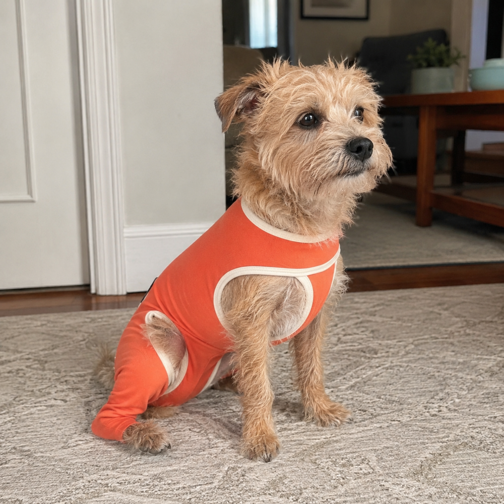 Hind Legs Copper Body Shirt for Post-Op & Wound Care
