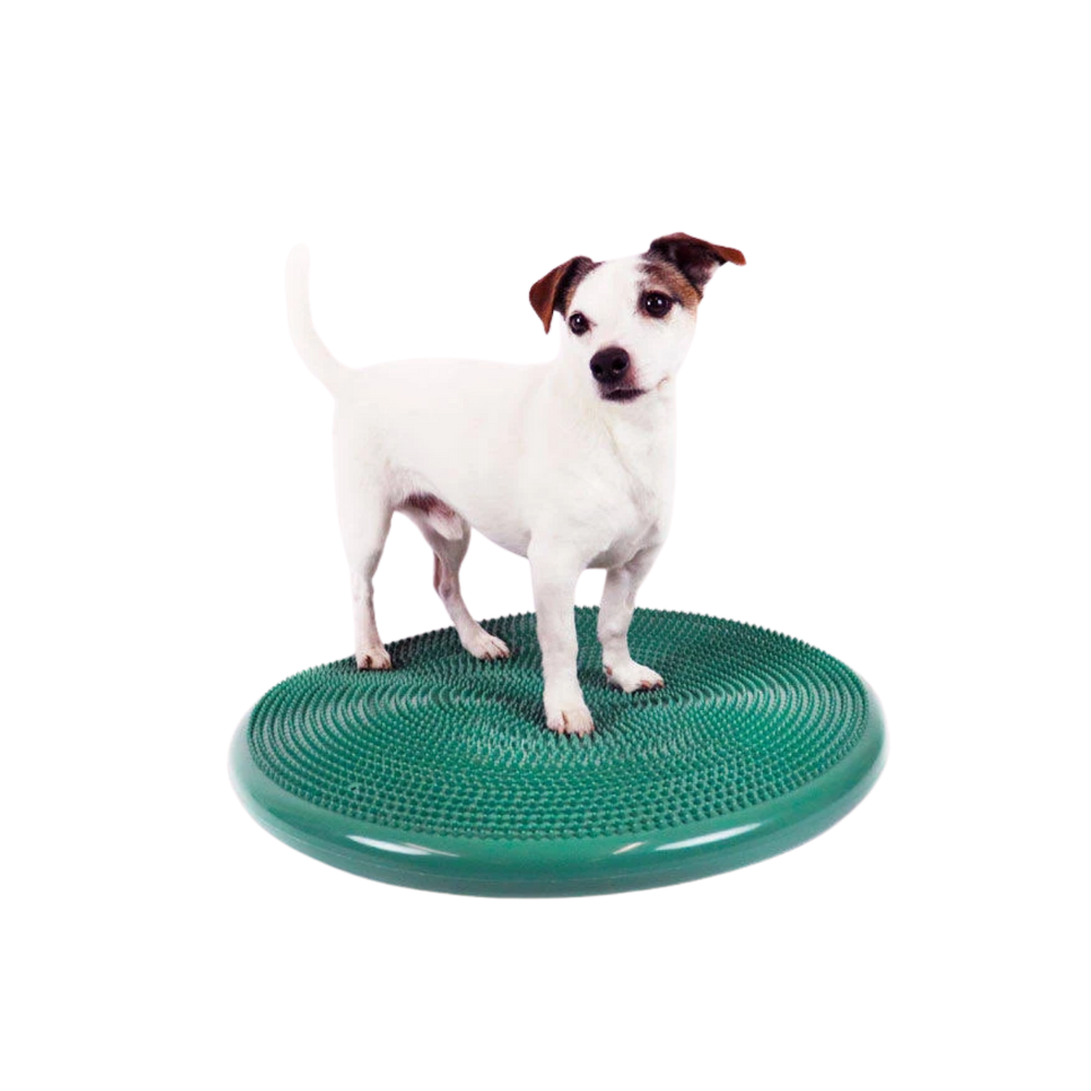Physio Tactile Balance Discus for Dogs