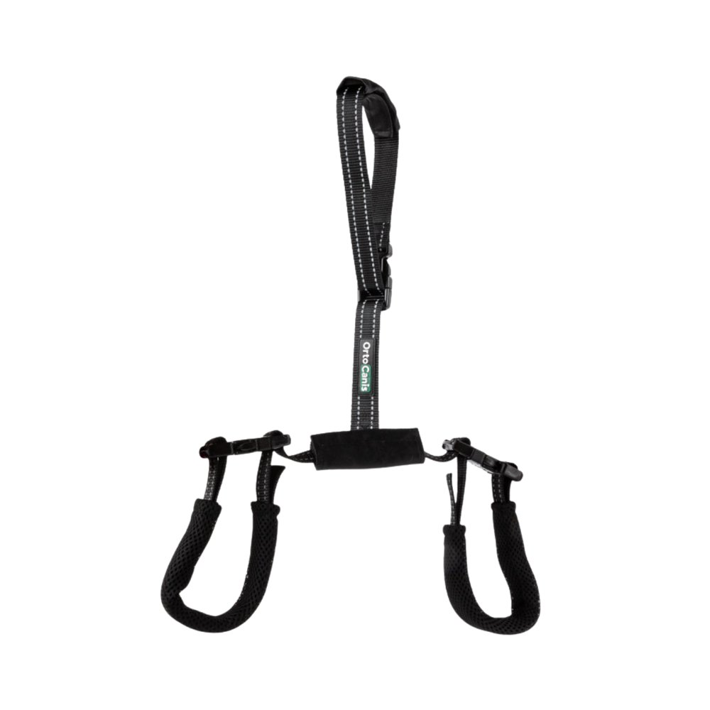 Rear Support Harness for Dogs with Hip & Mobility Issues