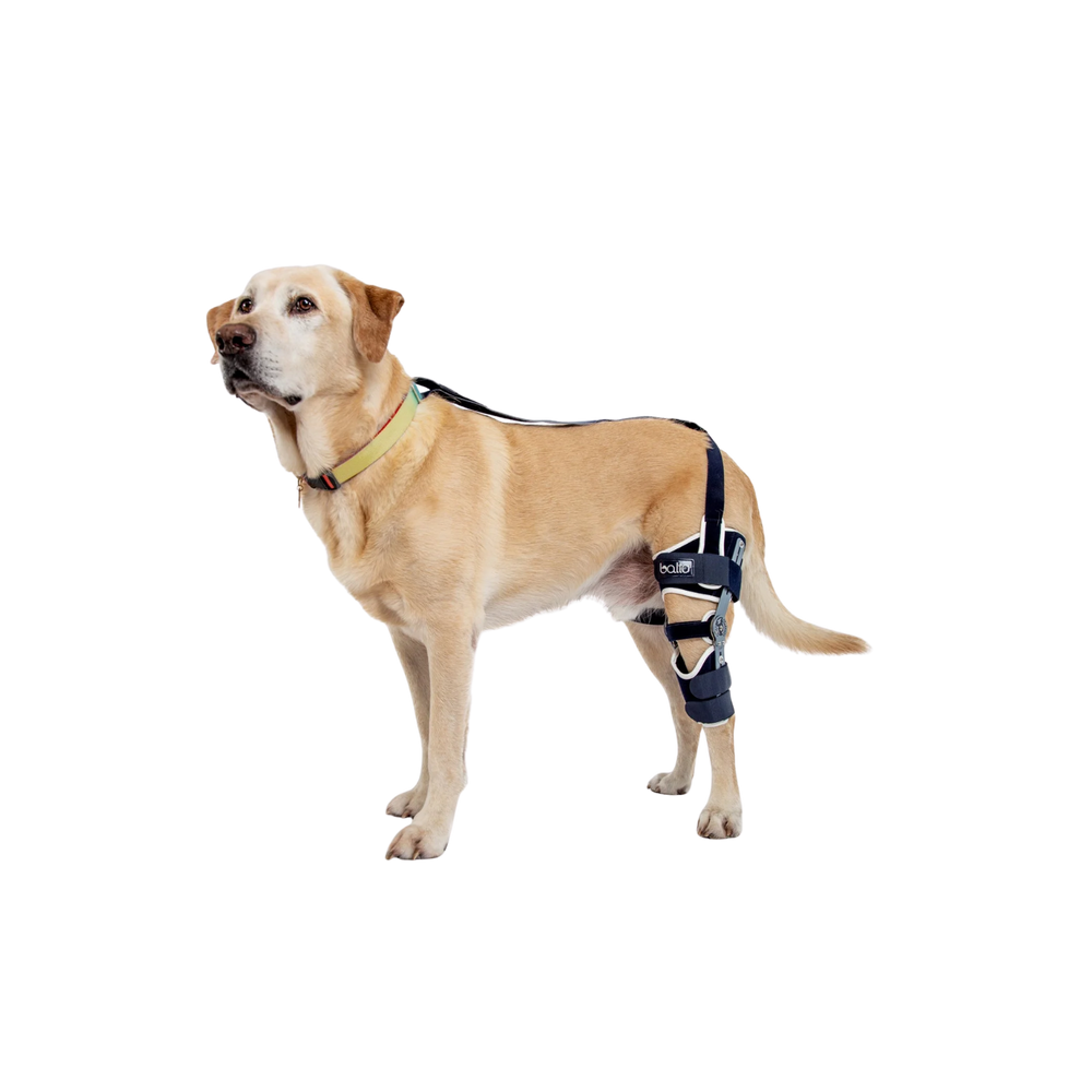 Balto® Ligatek – Adjustable Hinged Knee Brace