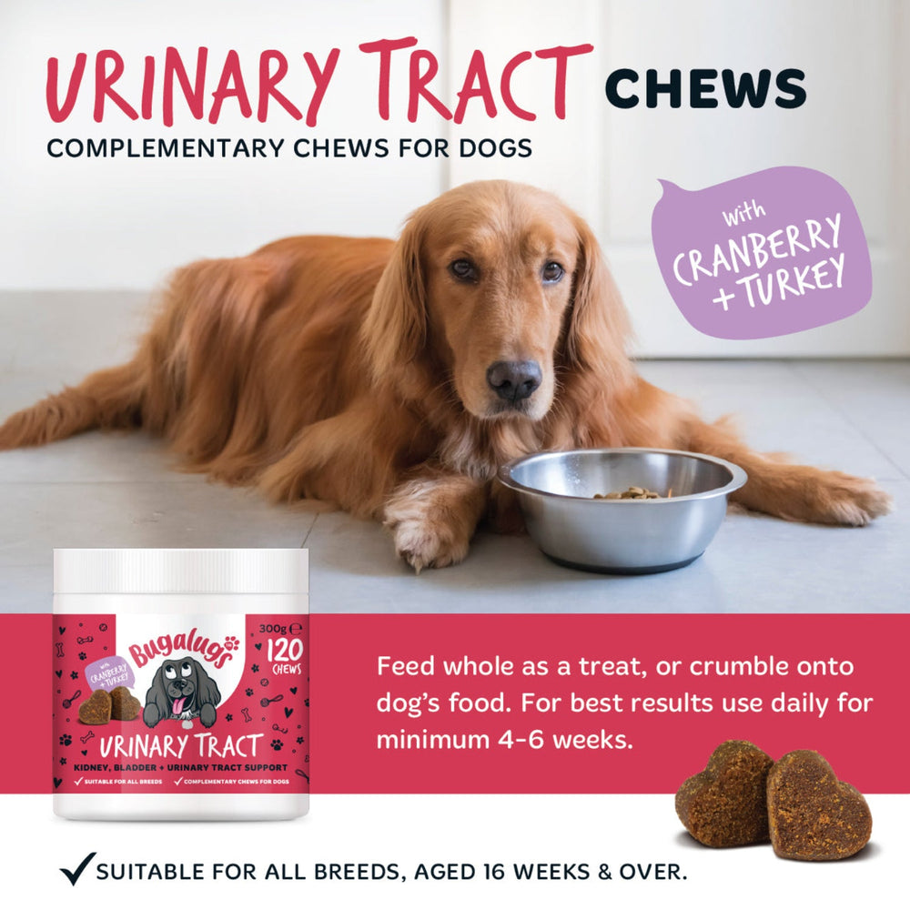 Urinary Tract Supplement Chews for Dogs