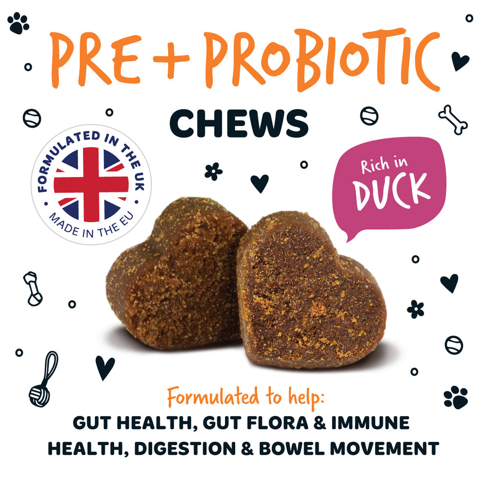 Pre & Probiotic Supplement Chews for Dogs