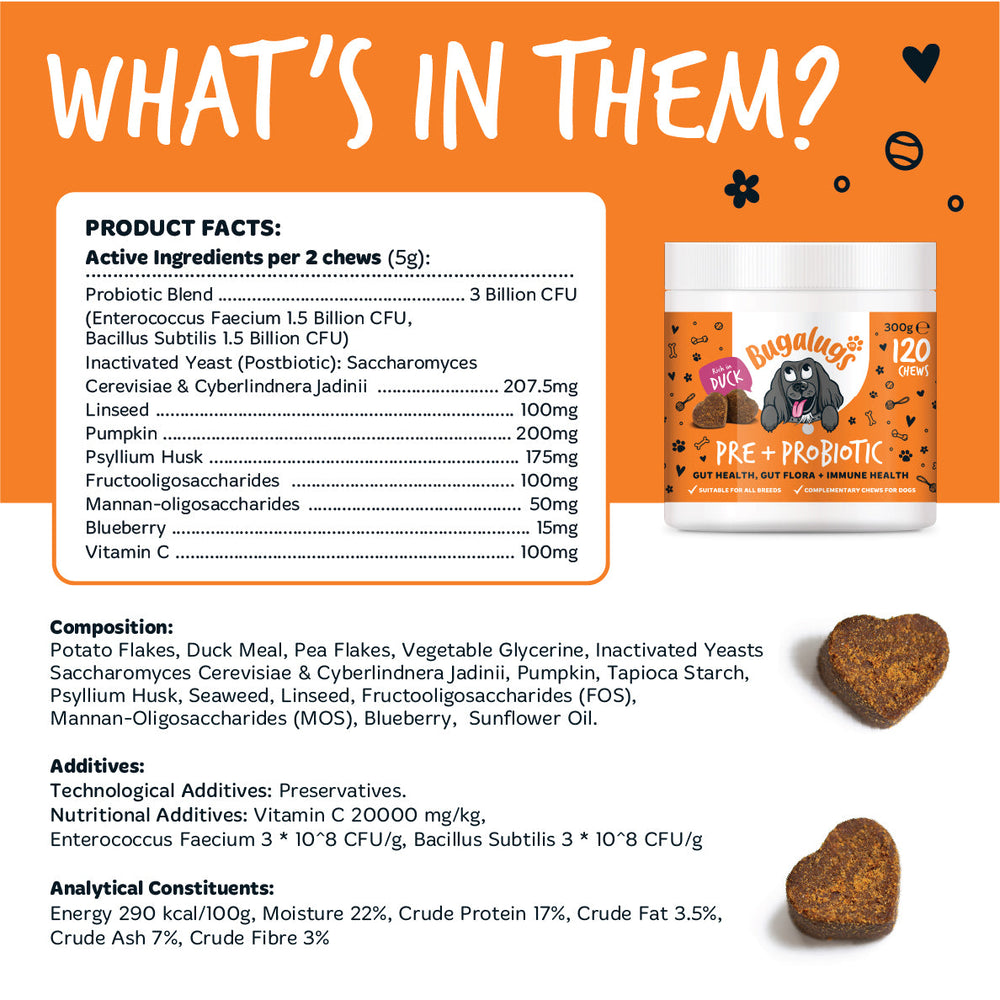 Pre & Probiotic Supplement Chews for Dogs
