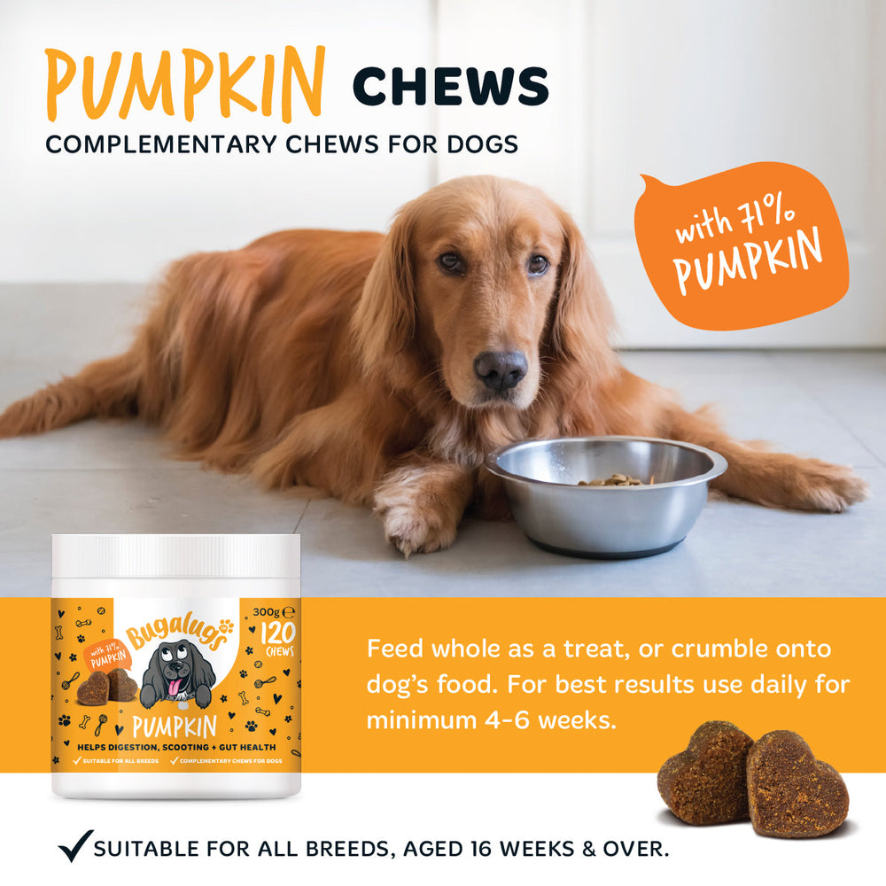 Pumpkin Supplement Chews for Dogs