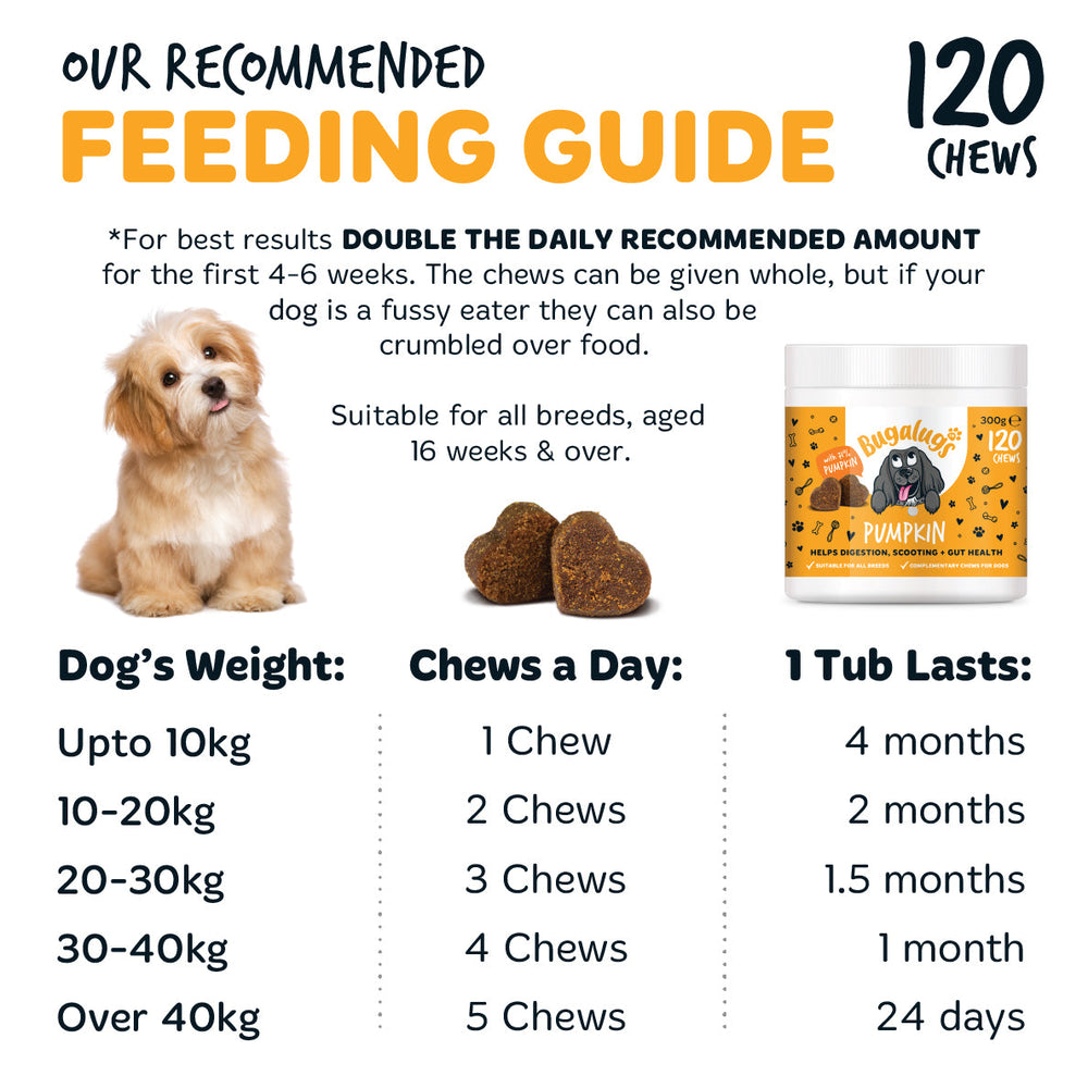 Pumpkin Supplement Chews for Dogs