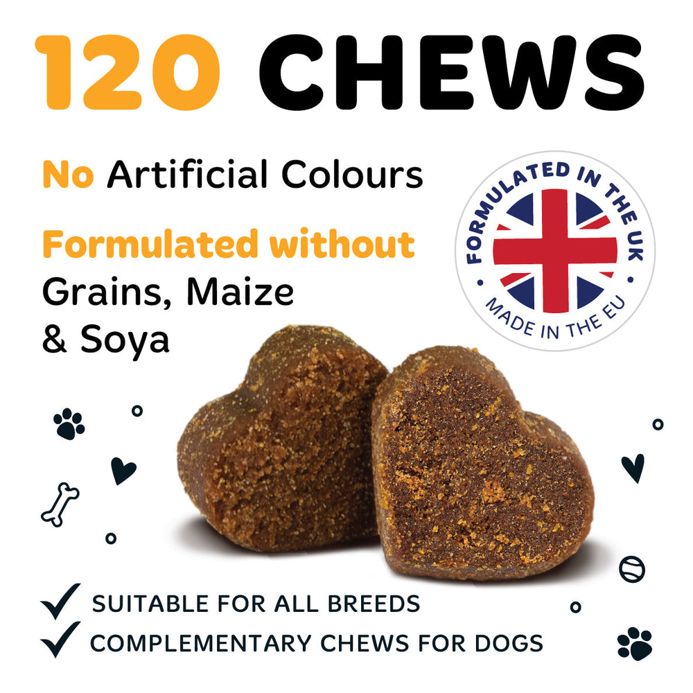 Pumpkin Supplement Chews for Dogs