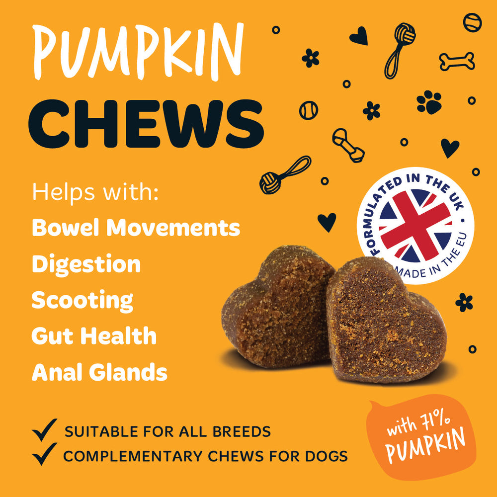 Pumpkin Supplement Chews for Dogs