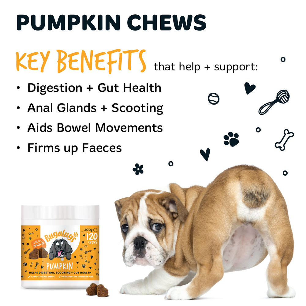 Pumpkin Supplement Chews for Dogs