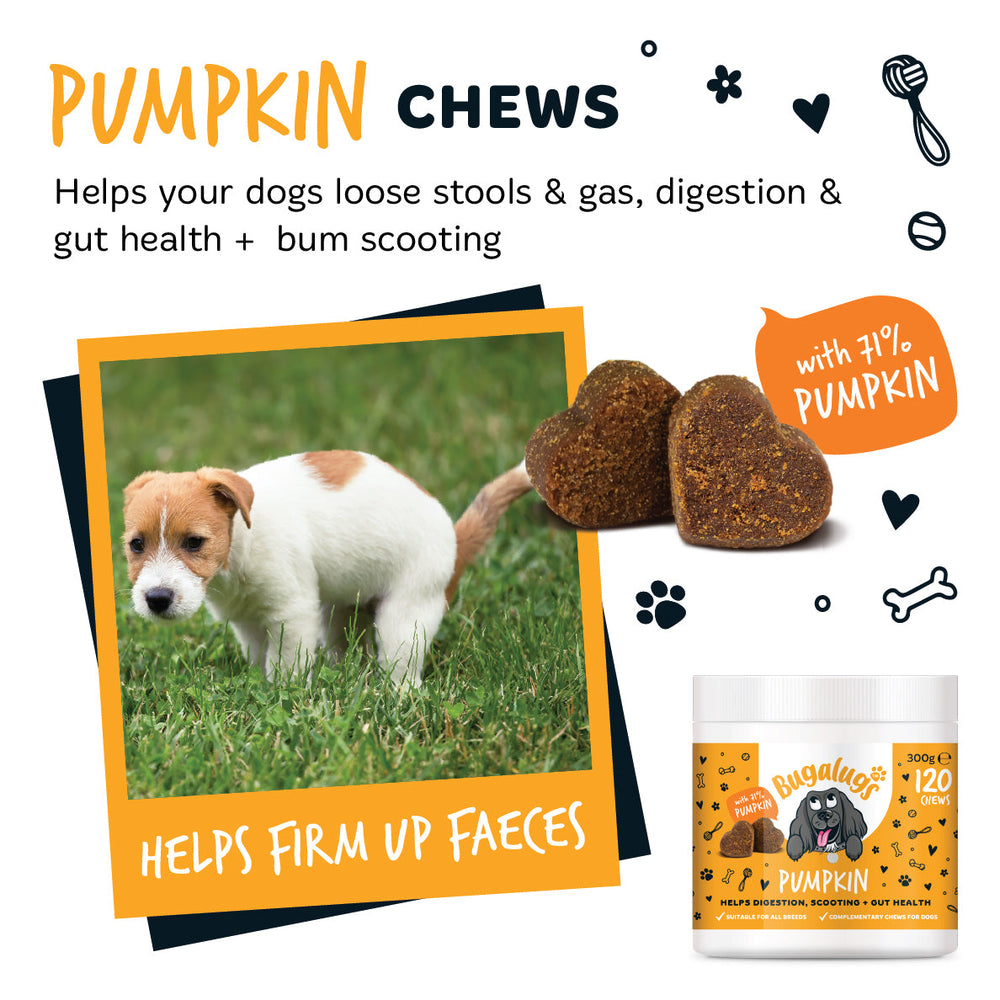Pumpkin Supplement Chews for Dogs