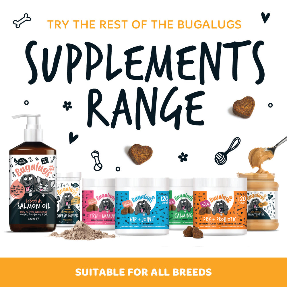 Pumpkin Supplement Chews for Dogs