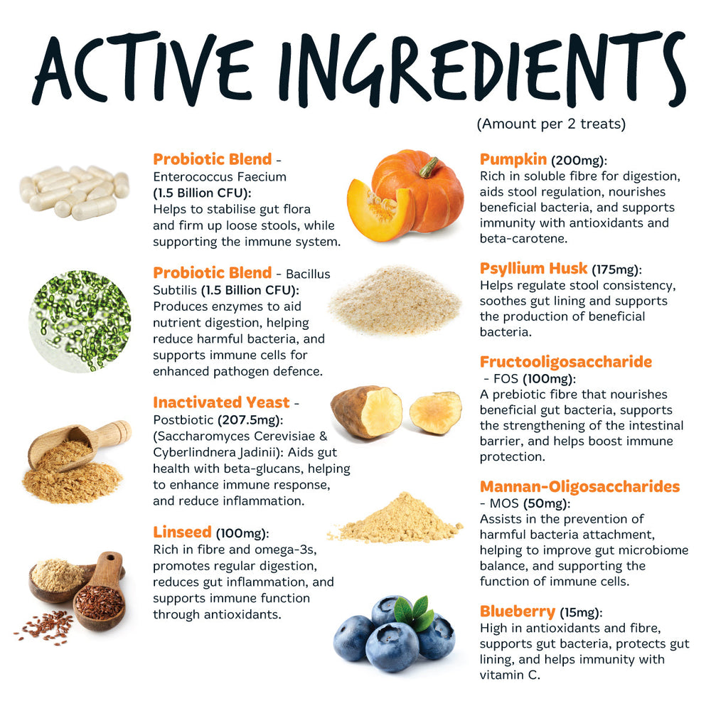 Pre & Probiotic Supplement Chews for Dogs